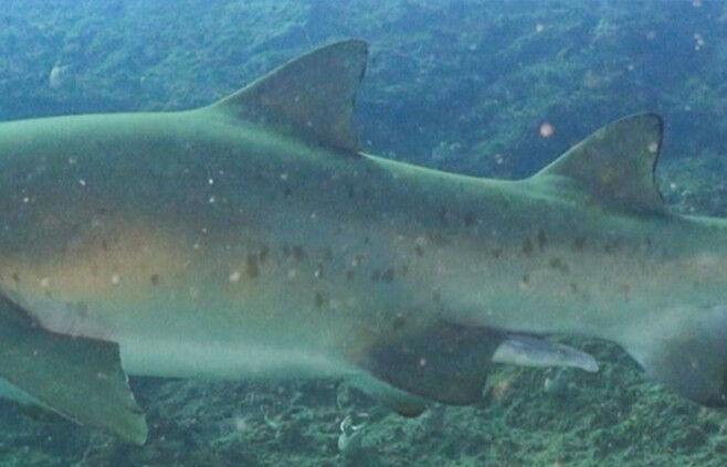 03c467fe-6e05-4247-bedb-c5055a4ab551