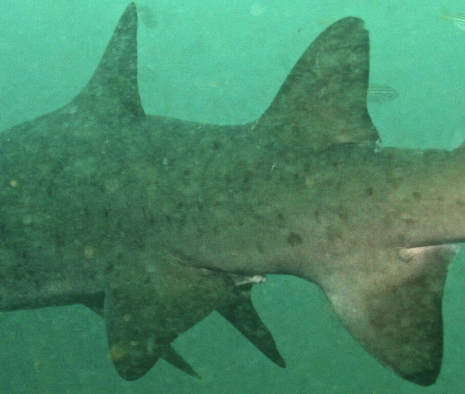 45307681-a139-4683-a51a-328d3c23dbaa