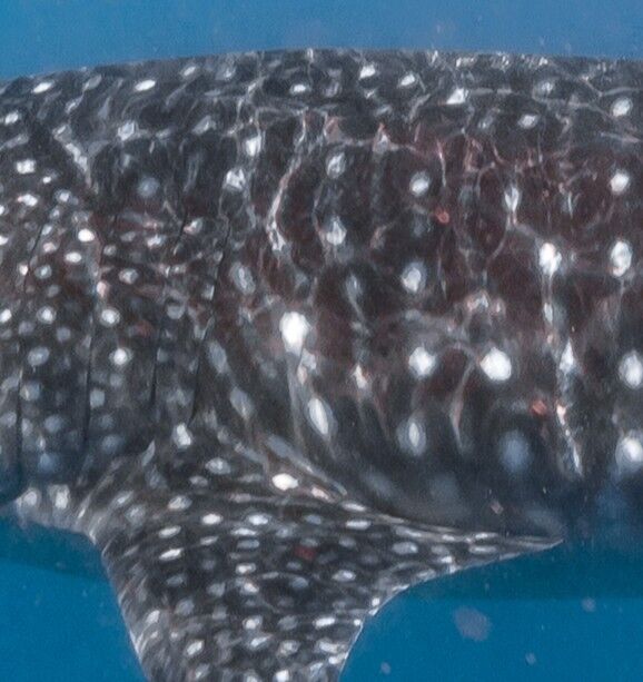 9ccedf89-67a2-48b3-b147-a8629116869b