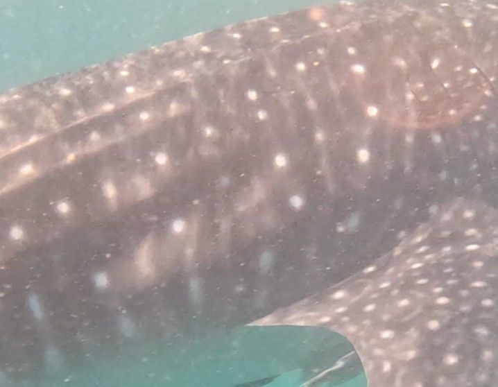 4198707c-1b29-4745-9f22-250e3e469ce2