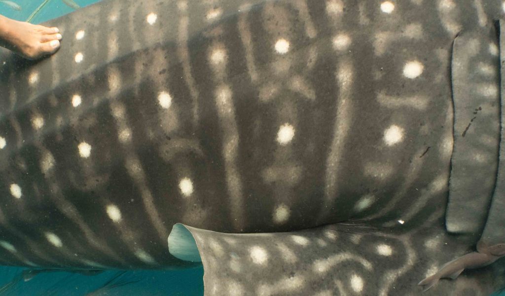 5456134e-aafe-44c0-b8fa-85a4f131f418