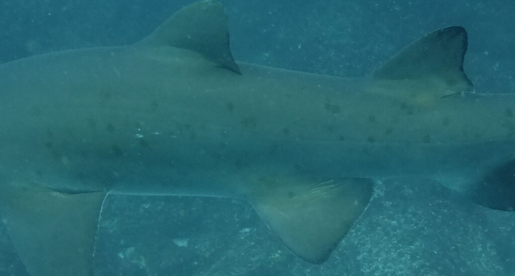 7bd6d07c-b379-45ec-8205-e17517a21653