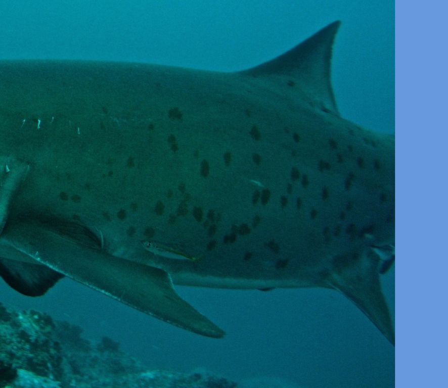 a3de5eb9-3184-4aa5-b2c2-c5735336e9b4