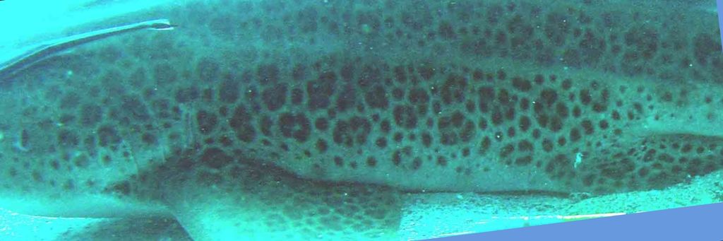 2b7e6bd0-55ec-4503-8702-f4c45597de4f