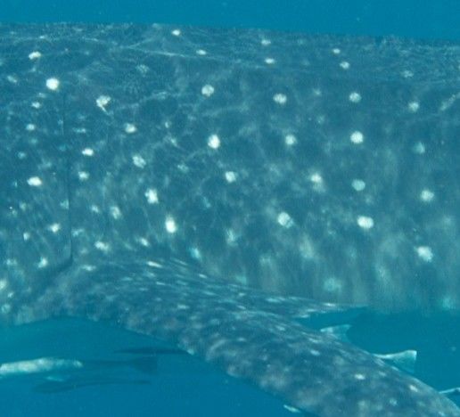 932c3176-eb50-4662-b501-e6f8196372b1