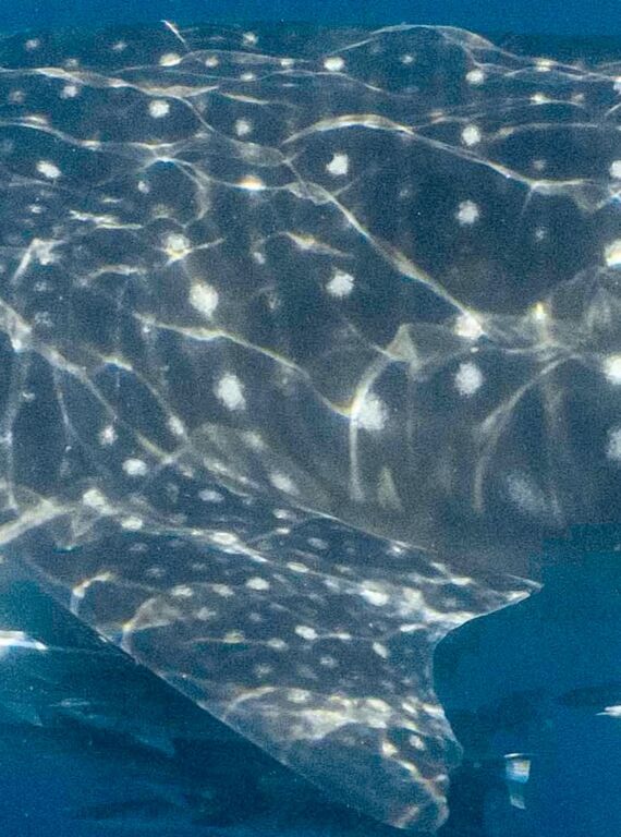 06b656ea-d721-4ef0-8f2b-5cb80f2f9ed1