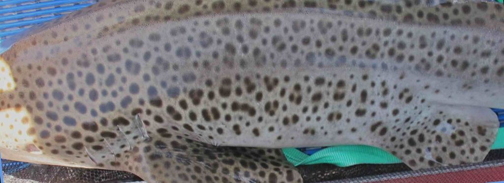 f38f9b10-f3c9-4b2a-b069-693423b48b98