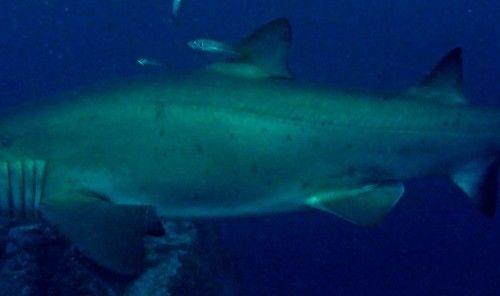 8a9dd044-fd62-4c80-af81-4930eaa15007