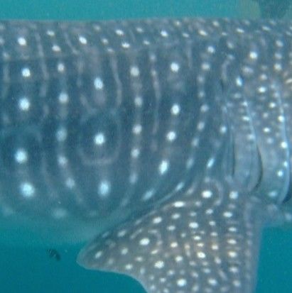 ed566f87-d33d-4c44-8338-6a515c3b2b97