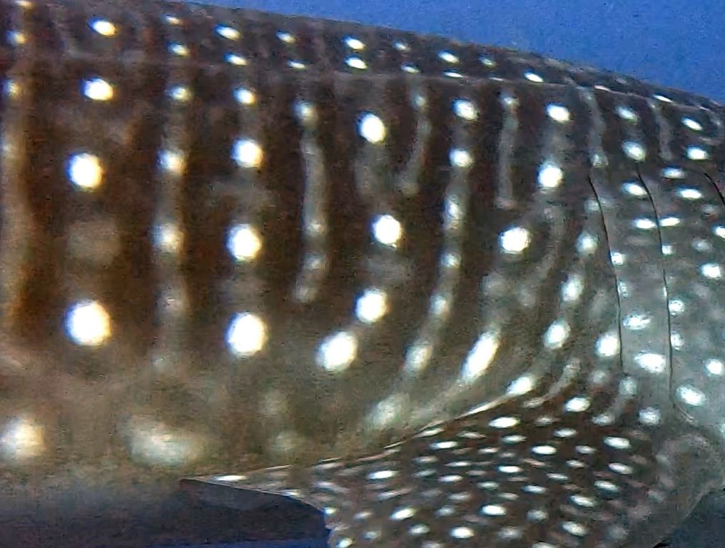 28801888-c8e2-4dc9-8cb2-ce2a1081da39