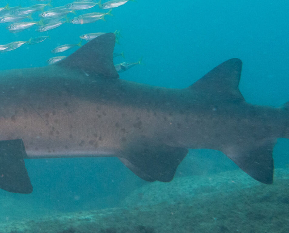 f48ad86d-aa1a-4dcc-9733-3f68a7c54b78