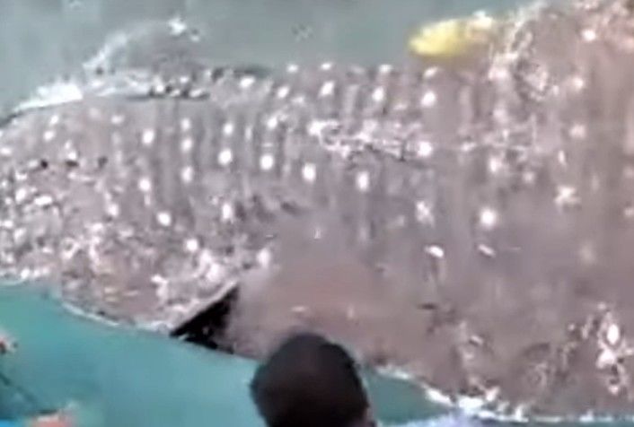 7c337cf5-04bb-4f4f-b83e-d1a95d9acec1