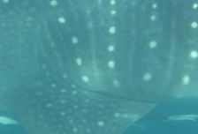 6b9e864a-eed4-460e-8c88-b632c2147ea8