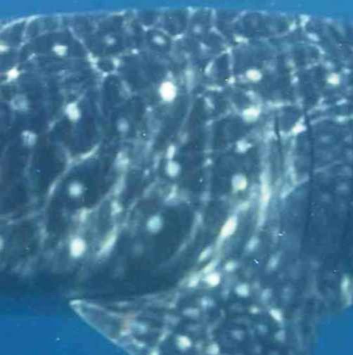 eff54461-66e2-4da0-b2cd-8092b05bbdde