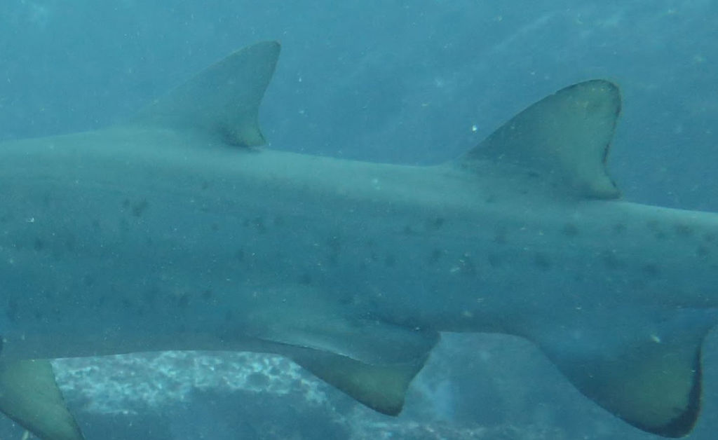 60ee7723-b34a-4392-b5e4-6017323fddf9