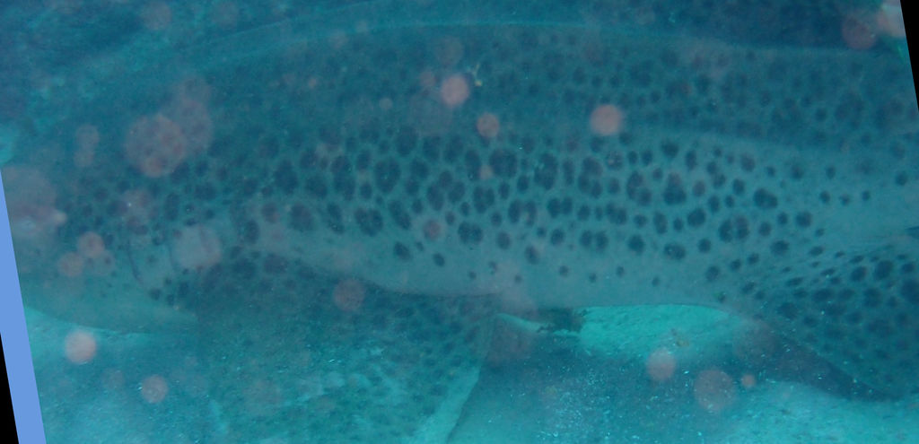 757db01b-343e-4d77-ae87-f54fcfd2884c