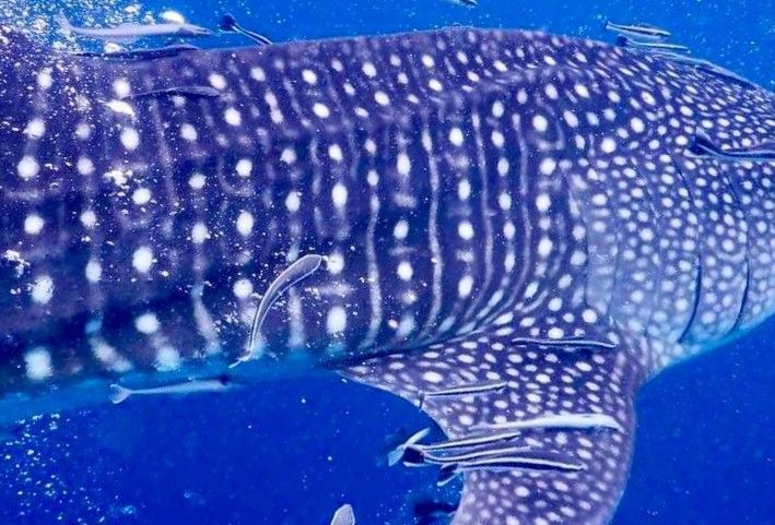 279f40d0-888c-4a85-890d-2dbad404996c