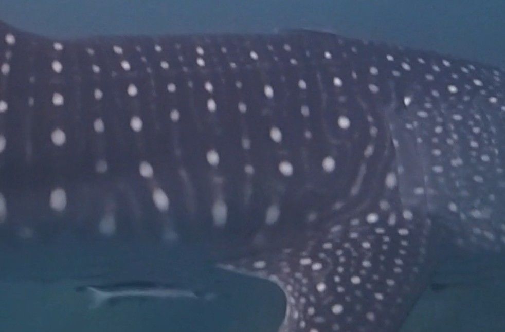 8b303ff4-5306-4d9a-8075-7aadaa262f7e