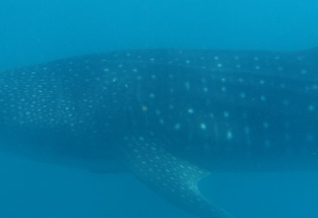 2ae195fd-51cd-44a9-b9af-f5e87bd9d0b0