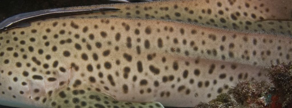 6fe6e57f-6995-4a49-a114-7e41f5b5093c