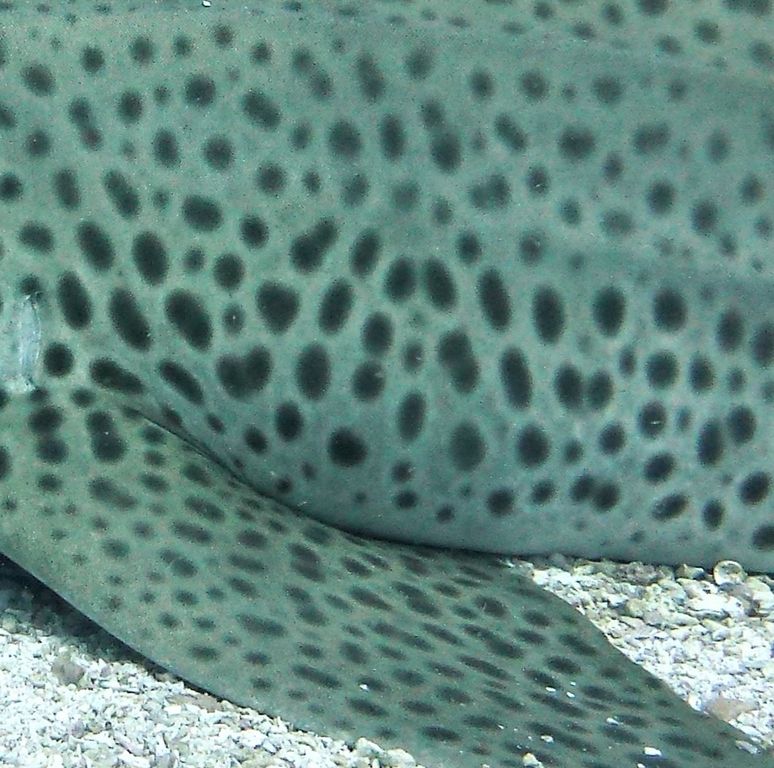 db921c29-7a44-4bcf-bb9d-d14dcf6e4e8f