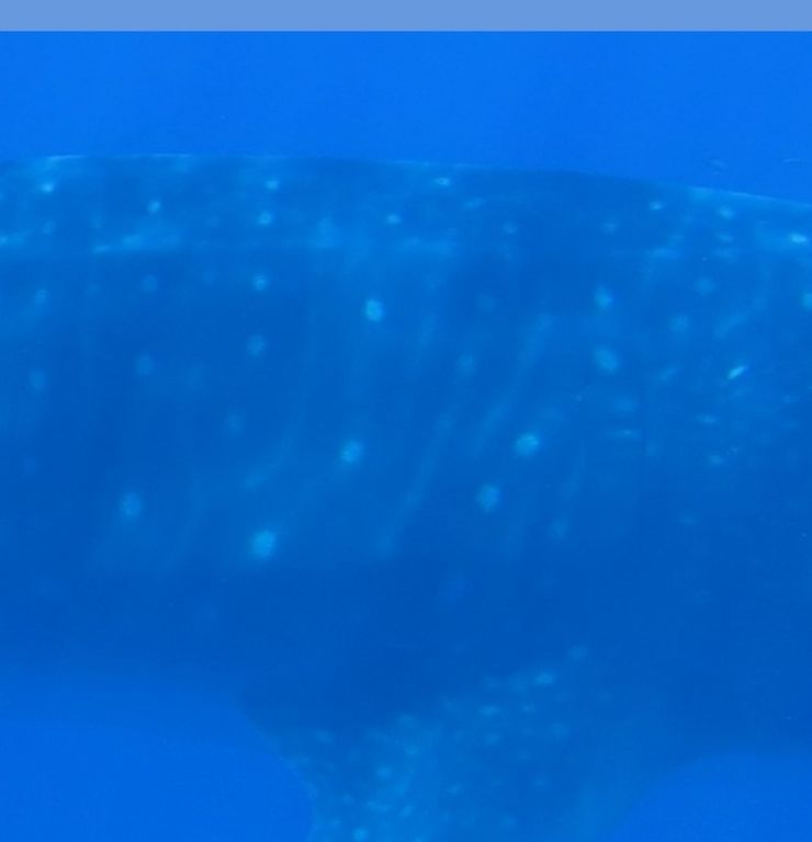 3910ce84-47e3-4d8a-a006-d7e1d21f9727