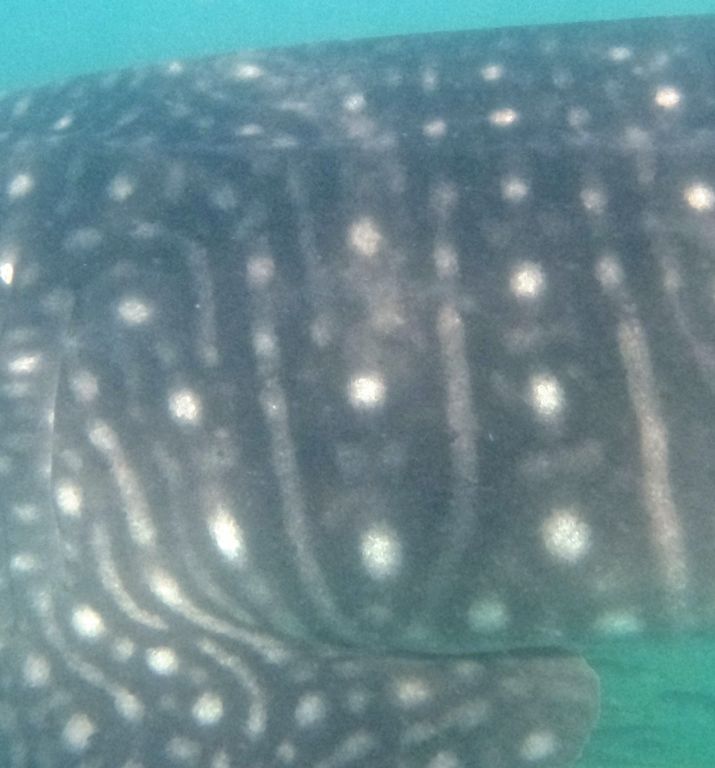 8ec909ee-3f92-4323-97cc-131c59bfcb6f