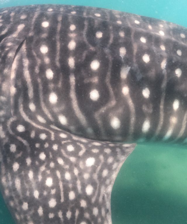 79cfad13-f19a-4cbc-8fb8-df097501d124