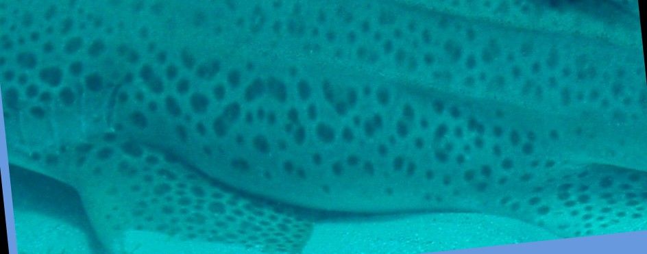 61c3d1c4-6928-4842-b70b-b36149abba1c