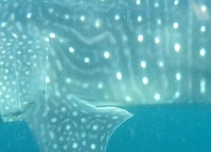 78ff34c2-d2dd-4cd6-a35f-db440d7c23dd