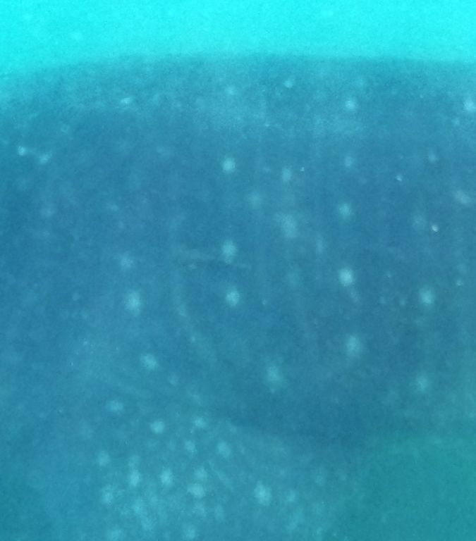 da10c933-4cd7-4b89-aae1-61eb3911aaf2