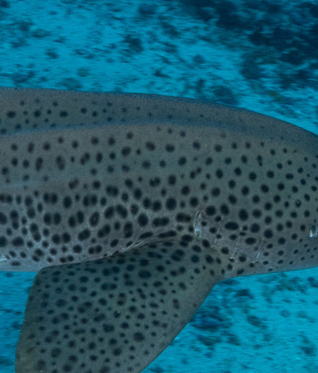 b97aa8b9-0927-4b23-b16a-2d19d8a3072b