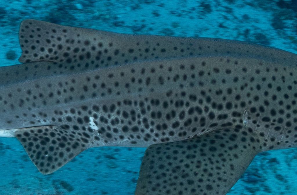 b97aa8b9-0927-4b23-b16a-2d19d8a3072b