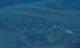 b97aa8b9-0927-4b23-b16a-2d19d8a3072b