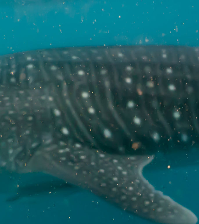 059c88d4-56d4-404e-a2eb-90083cbfa220