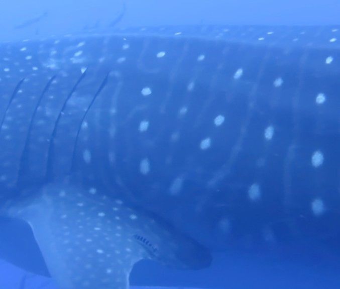 d8189ced-9076-4db8-b538-be7bda47ee34