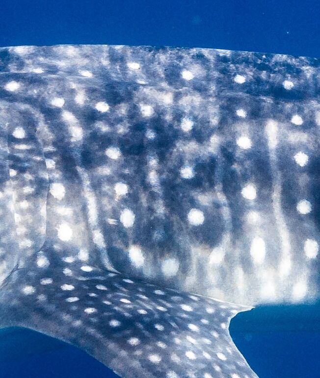 884de3eb-498a-42e8-9584-9dd650dd78e0