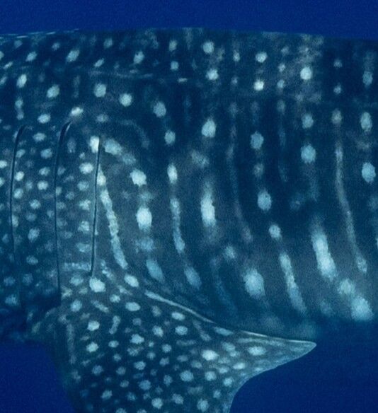 9b79479d-f5a5-4c70-badc-c3bf90b19003