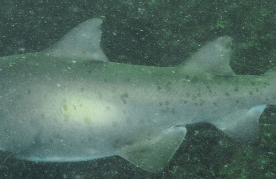 61c481bd-e1e8-4196-a746-97a6f283a676