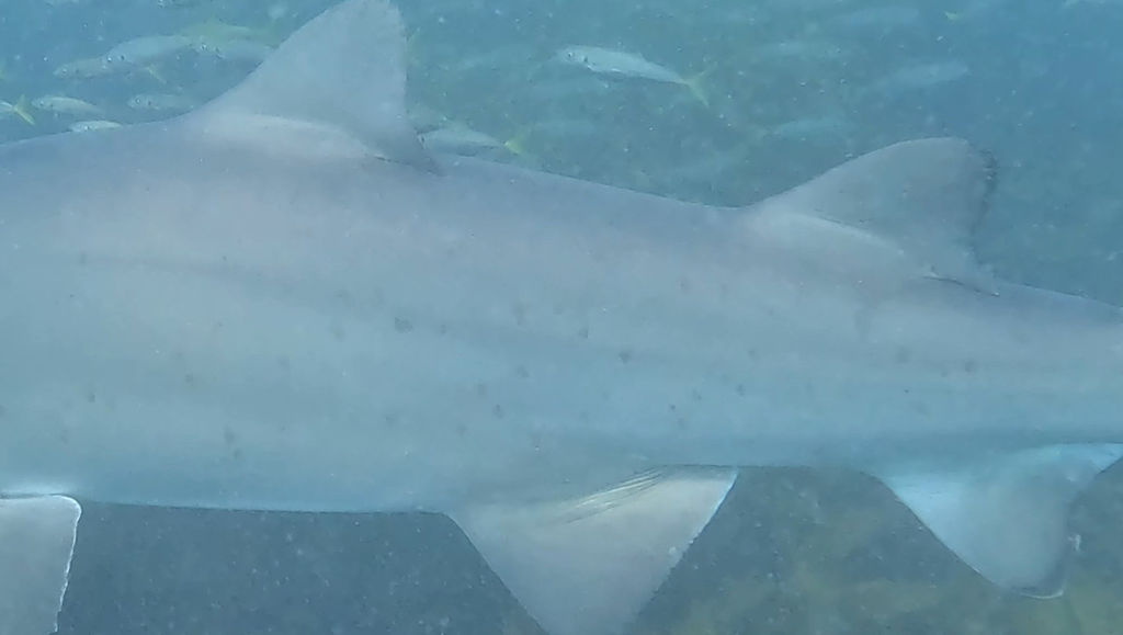 cd09814f-7dfa-4fc5-a864-4855310ff8a9