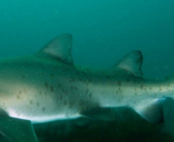 be71a761-76b5-4d65-a0bf-7e46b40e505d