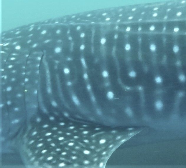 bd7d1690-5c47-4165-a4e8-04fee2a189b3