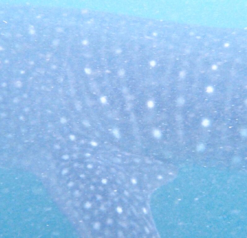 8e9f27d6-8c93-4cae-97c6-a85c15452b73