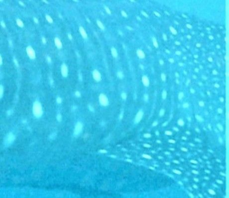 b0142963-70e9-434a-b5e7-b2e04eeb8751