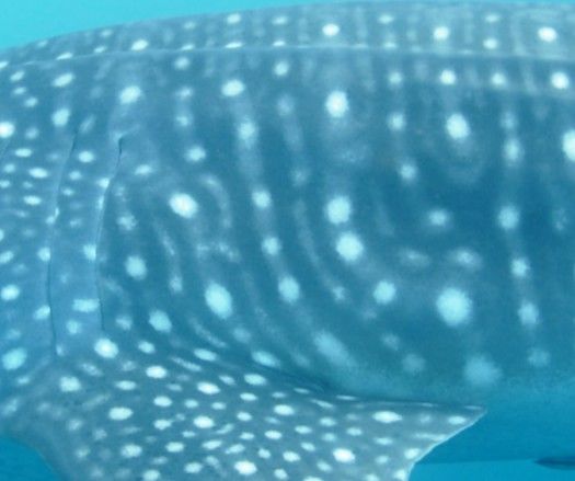 b0142963-70e9-434a-b5e7-b2e04eeb8751