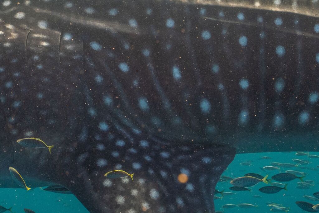 af7acf6e-e25e-421d-80b4-0fee82502a39