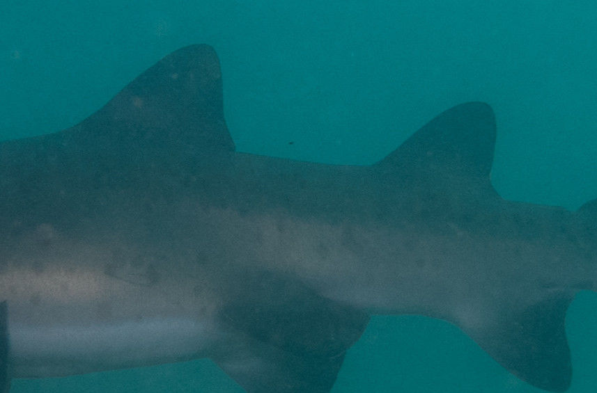 9d414684-9560-40f5-af1b-c9feeff865ae