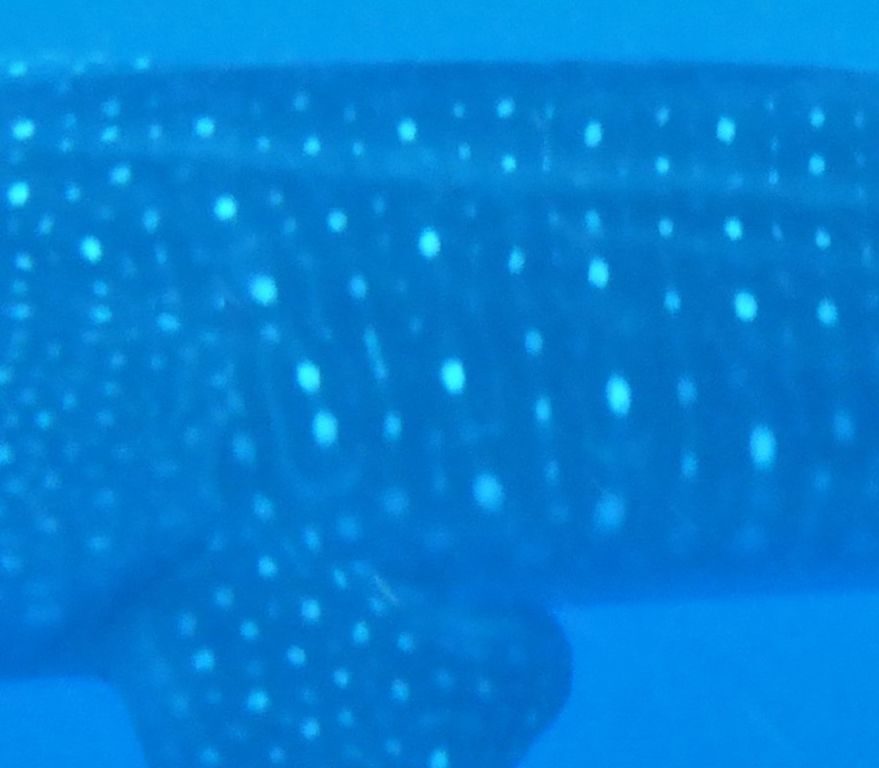 a0c8379b-2c0d-432b-9ed2-8dfd4f21598d