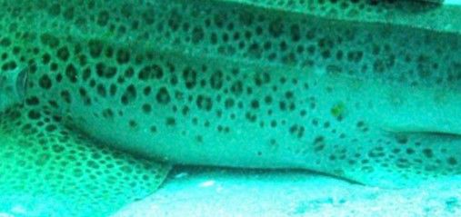 b48cf762-914c-41ed-b0a6-0f25b5601afc