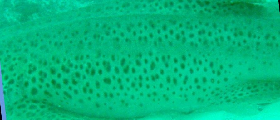 4d371535-0353-4bd2-a251-17a95c5ac01e